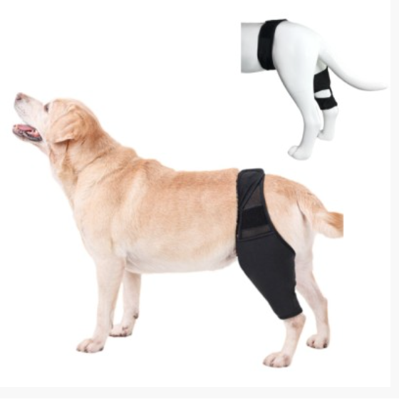 Dog Knee Brace For Torn Acl