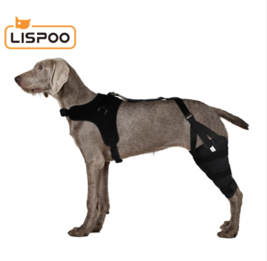 Dog Knee Brace For Torn Acl